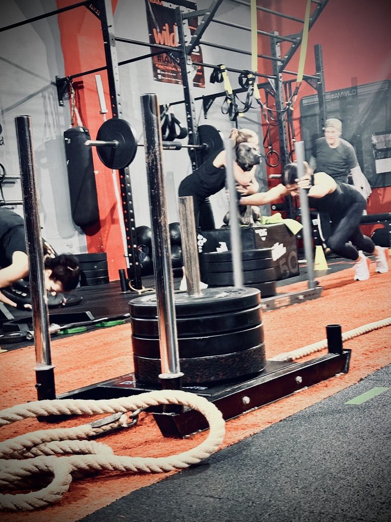 Sled Push Training